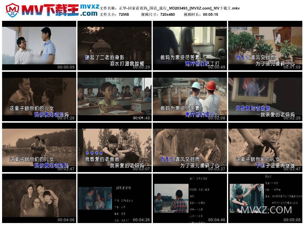 正华-回家看爸妈_国语_流行_MD203493